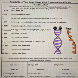 Dna vs rna worksheet answer key