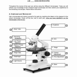 Microscope parts and use worksheet answers pdf